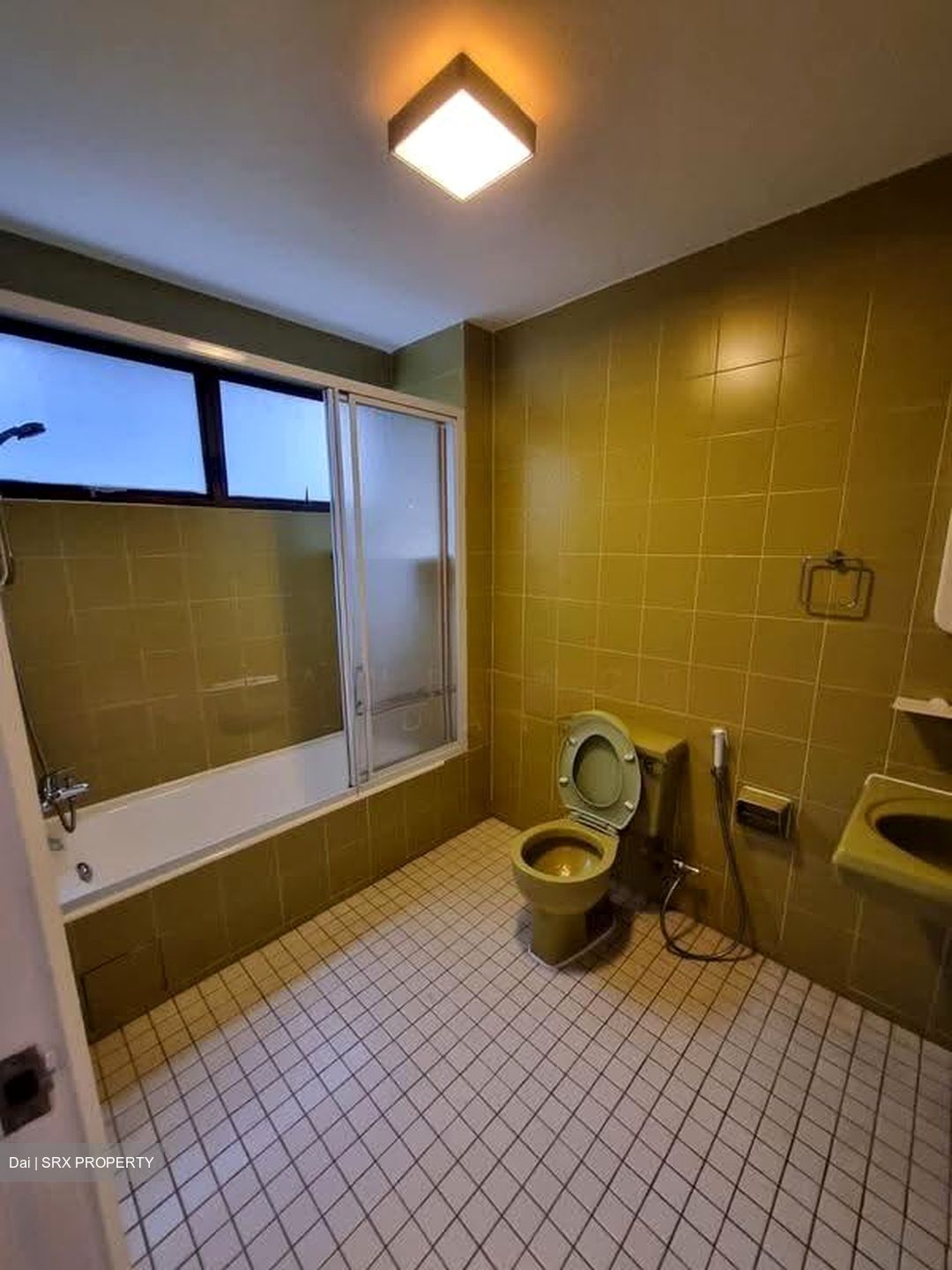 The Cairnhill (D9), Condominium #632484621